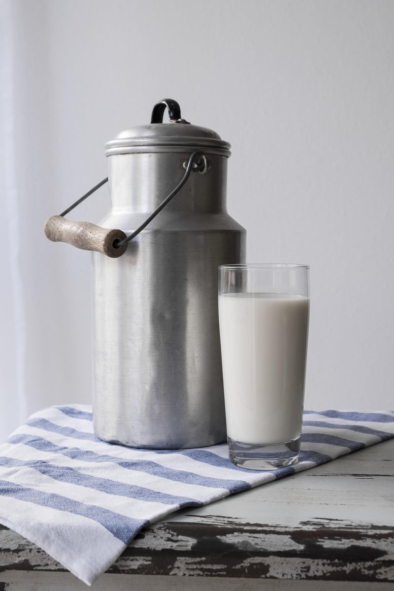Electric Milk Frother